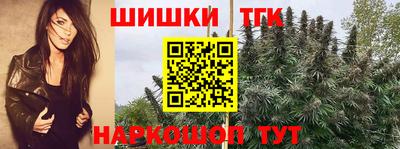 скорость Лесосибирск