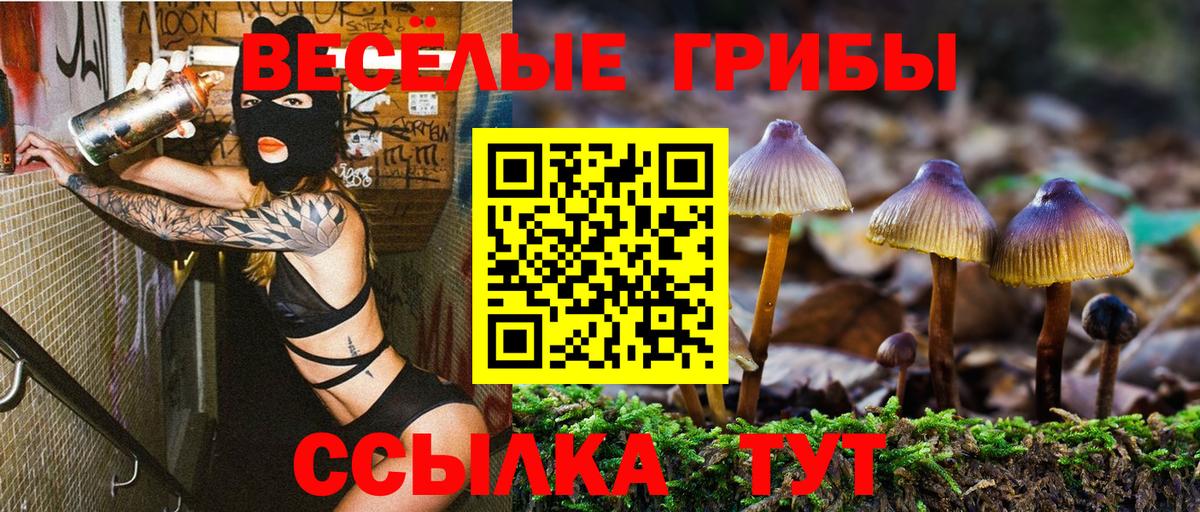 Псилоцибиновые грибы ЛСД  Вход с VPN  купить наркотик  Выборг 