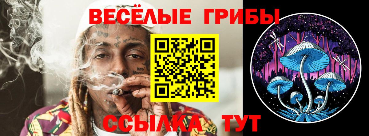 Псилоцибиновые грибы Cubensis Выборг